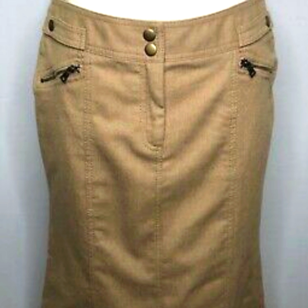 Express Pencil Skirt